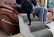 Hundetreppe für Couch & Sofa